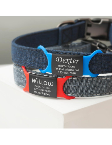 Etiqueta de Identificación Mascotas Anavia Acero Inoxidable Grande