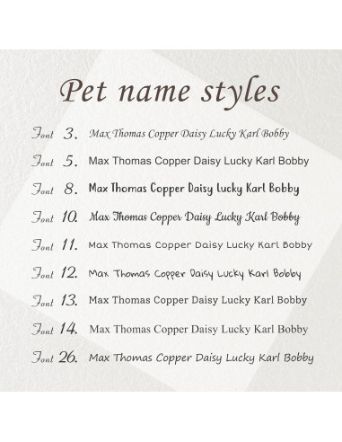 Etiqueta de Identificación Mascotas Anavia Acero Inoxidable Grande