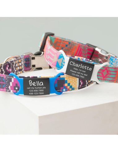 Etiqueta de Identificación Mascotas Anavia Acero Inoxidable Grande