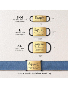 Etiquetas de Identificación Mascotas Anavia Acero Inoxidable S/M Negro 2