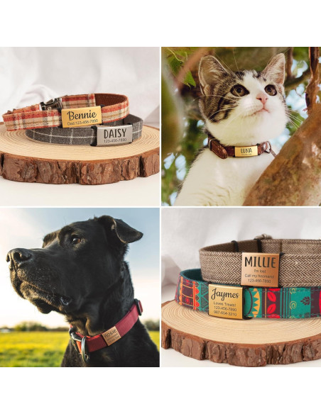 Etiquetas de Identificación Mascotas Anavia Acero Inoxidable S/M Negro