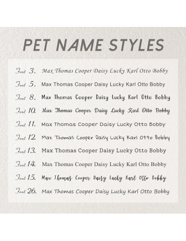 Etiquetas de Identificación Mascotas Anavia Acero Inoxidable S/M Negro