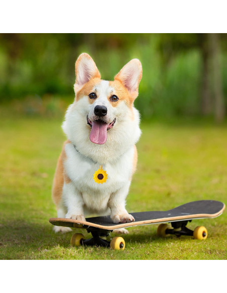 Funda Protectora GOLLEY para AirTag con Llavero Girasol Funda Protectora GOLLEY para AirTag con Llavero Girasol