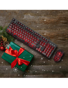 Conjunto Teclado y Ratón Gaming Rii RK108 Retroiluminado 2