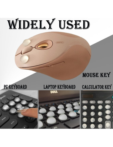 Etiquetas de Teclado Silicona Transparente Zooplan 128 PCS