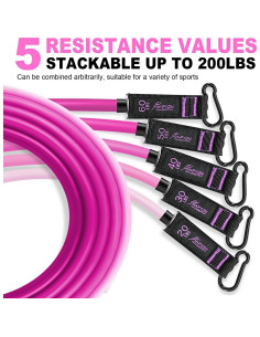 Bandas de Resistencia HPYGN 200LBS con Mangos y Anclaje 2