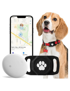 Rastreador GPS para Mascotas Ztobny - Sin Cuota Mensual, IP68