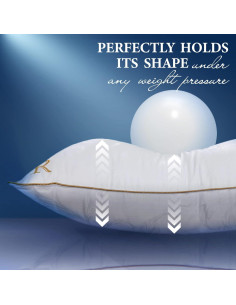 Juego de 2 almohadas estándar Royal Therapy hipoalergénicas 2