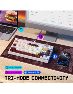 Teclado Mecánico Inalámbrico RisoPhy PC423 75% RGB 2