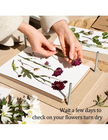 Papel Absorbente A4 Ecoofor para Prensado de Flores - 20 Hojas