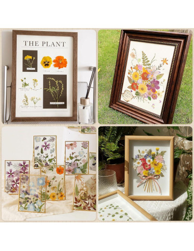 Papel Absorbente A4 Ecoofor para Prensado de Flores - 20 Hojas