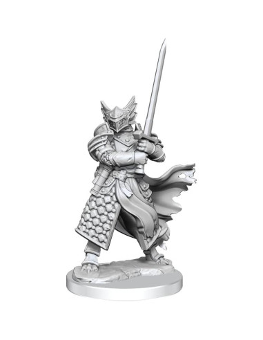 Figurita D&D Paladín Dragonborn Masculino Sin Pintar