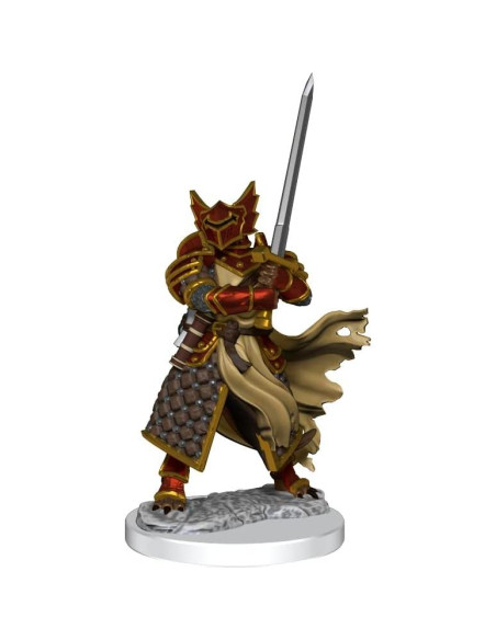 Figurita D&D Paladín Dragonborn Masculino Sin Pintar Figurita D&D Paladín Dragonborn Masculino Sin Pintar