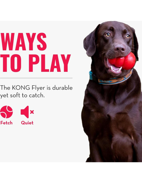 KONG Flyer - Disco Volador para Perros Pequeños de Caucho