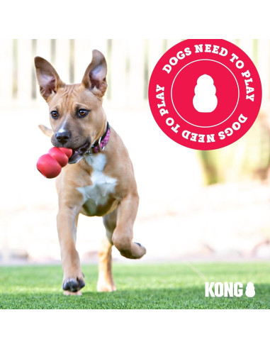 KONG Flyer - Disco Volador para Perros Pequeños de Caucho