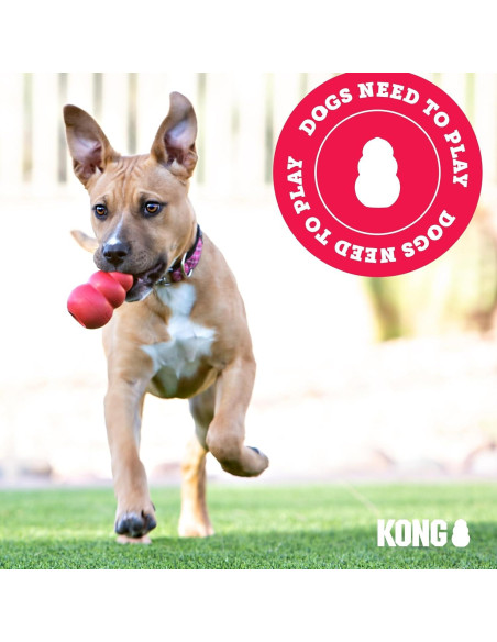 KONG Flyer - Disco Volador para Perros Pequeños de Caucho