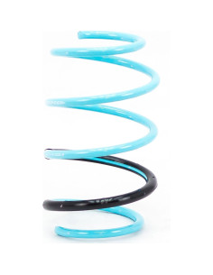 Resortes Godspeed LS-TS-TA-0005 para Toyota Corolla 2014-19 2