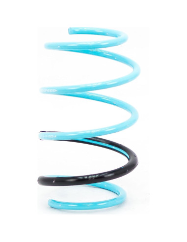 Resortes Godspeed LS-TS-TA-0005 para Toyota Corolla 2014-19