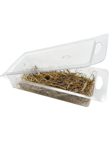 Raíz de Vid en Miniatura Woohome para Dioramas y Jardines