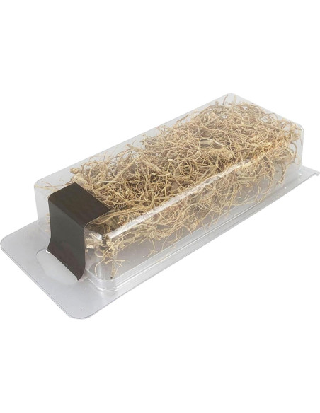 Raíz de Vid en Miniatura Woohome para Dioramas y Jardines