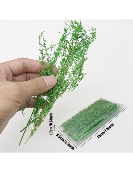 Arbustos en Miniatura Woohome 2 Colores para Paisajismo