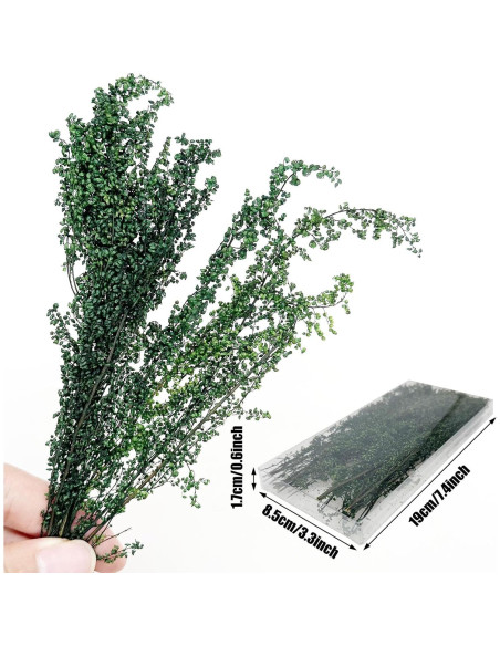 Arbustos en Miniatura Woohome 2 Colores para Paisajismo