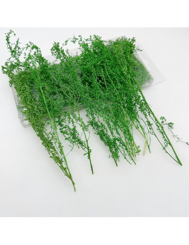 Arbustos en Miniatura Woohome 2 Colores para Paisajismo