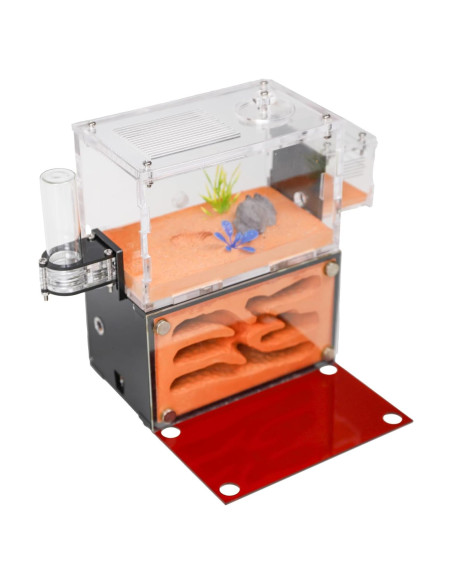 Casa de Hormigas Rimsunta Nido Educativo 2 Pisos 11.94x7.62 cm