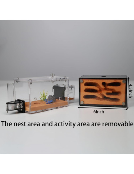 Casa de Hormigas Rimsunta Nido Educativo 2 Pisos 11.94x7.62 cm