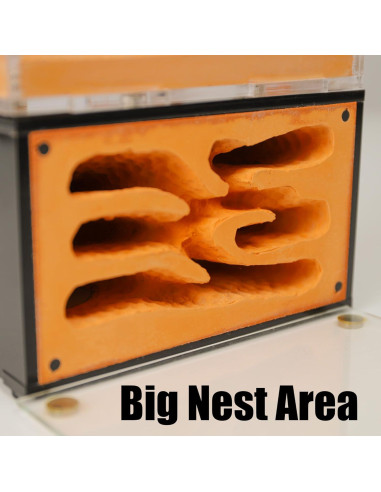 Casa de Hormigas Rimsunta Nido Educativo 2 Pisos 11.94x7.62 cm