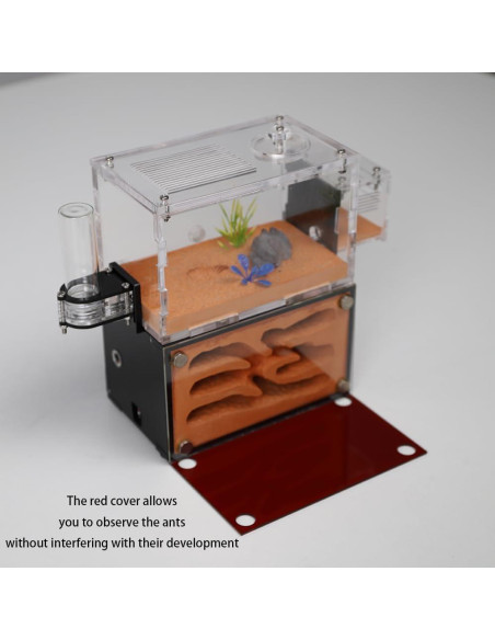 Casa de Hormigas Rimsunta Nido Educativo 2 Pisos 11.94x7.62 cm