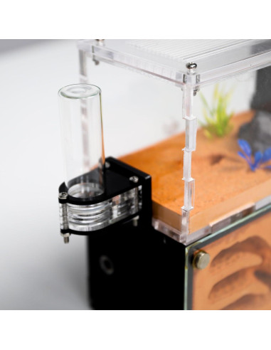 Casa de Hormigas Rimsunta Nido Educativo 2 Pisos 11.94x7.62 cm