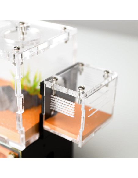 Casa de Hormigas Rimsunta Nido Educativo 2 Pisos 11.94x7.62 cm