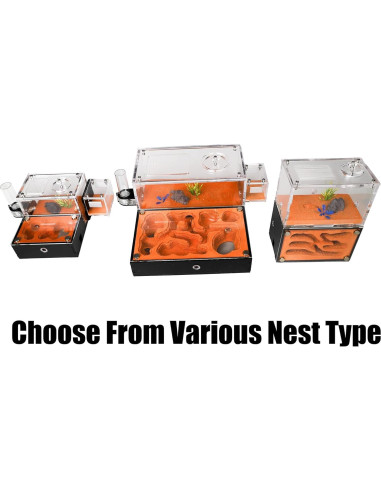 Casa de Hormigas Rimsunta Nido Educativo 2 Pisos 11.94x7.62 cm