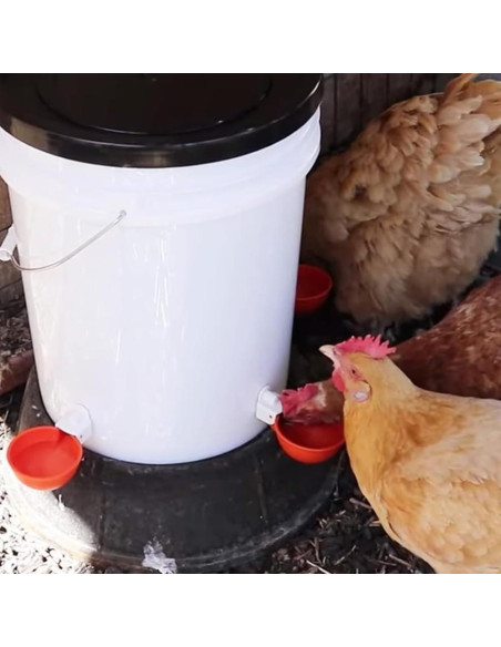 Tazas de Bebida Automáticas MODUODUO 12 Pcs para Aves