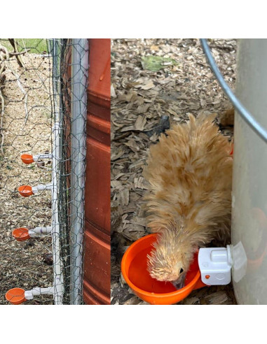 Tazas de Bebida Automáticas MODUODUO 12 Pcs para Aves