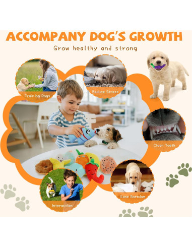 Conjunto de Juguetes Chirriantes QTwoof para Perros - 20 Piezas