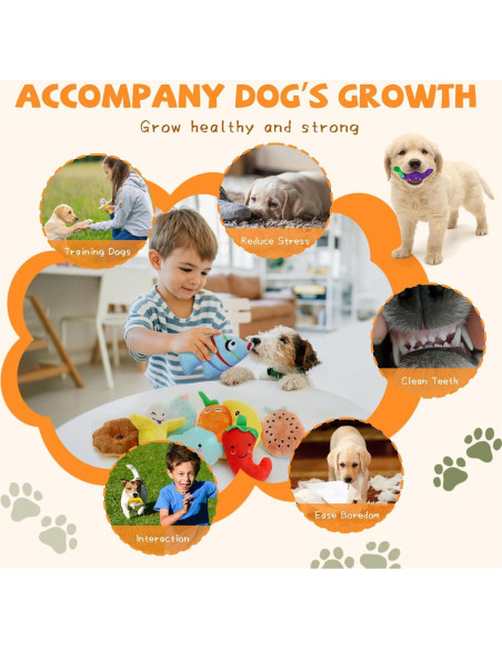 Conjunto de Juguetes Chirriantes QTwoof para Perros - 20 Piezas