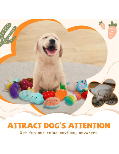 Conjunto de Juguetes Chirriantes QTwoof para Perros - 20 Piezas