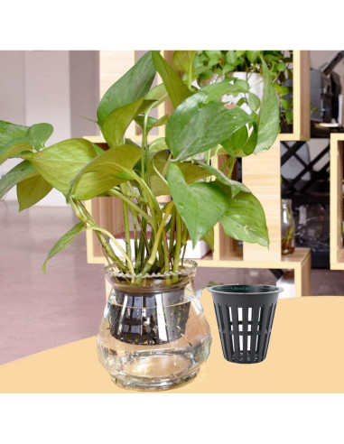 100 Macetas de Malla Redondas IPXEAD 5 cm Hidroponía