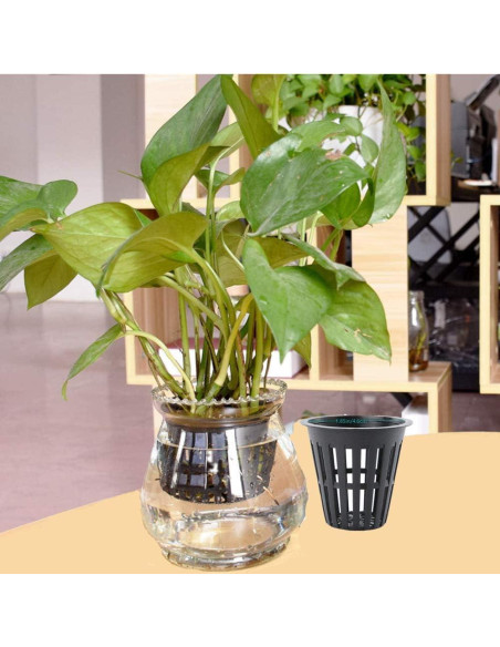 100 Macetas de Malla Redondas IPXEAD 5 cm Hidroponía