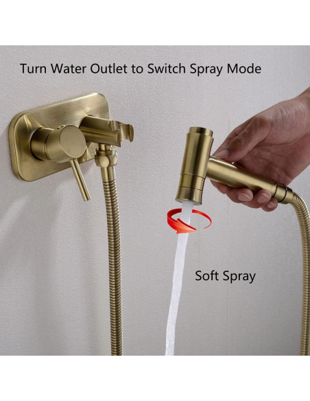 Rociador de Bidet TRUSTMI Oro Cepillado 119.38 cm Doble Función