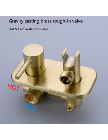 Rociador de Bidet TRUSTMI Oro Cepillado 119.38 cm Doble Función