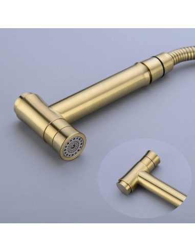 Rociador de Bidet TRUSTMI Oro Cepillado 119.38 cm Doble Función