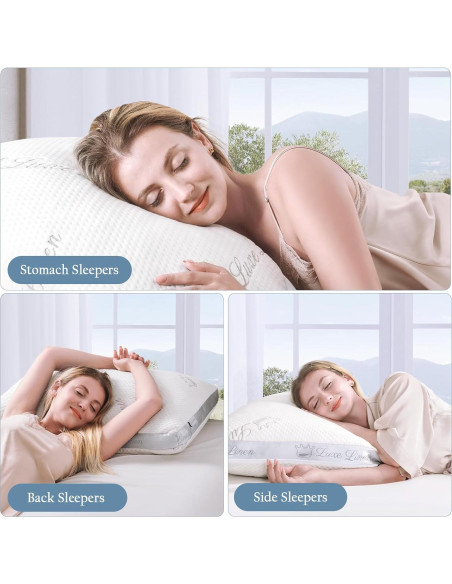 Juego de 2 Almohadas Estándar Luxe Linen Espuma Viscoelástica