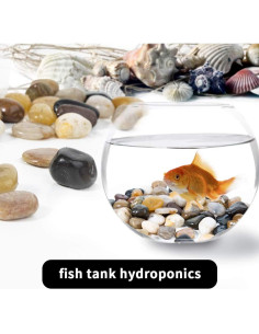 Grava Pulida OUPENG 0.91 KG Piedras Naturales Decorativas 2