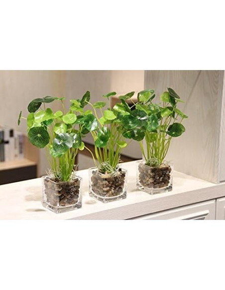 Grava Pulida OUPENG 0.91 KG Piedras Naturales Decorativas