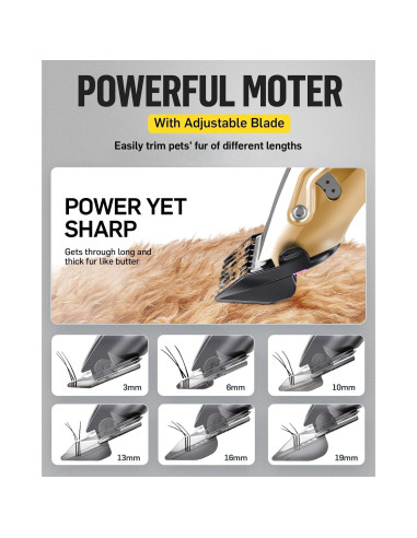 Kit de Aseo para Perros OCPEET 4 en 1 Inalámbrico Dorado