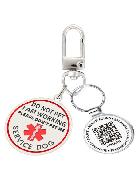 Etiqueta de perro personalizada MYDEERYOO con código QR