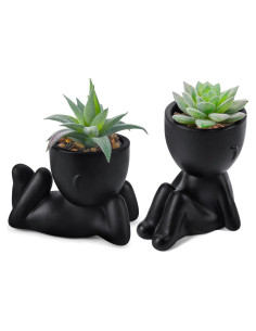 Set de 2 Plantas Suculentas Artificiales Der Rose para Decoración Interior